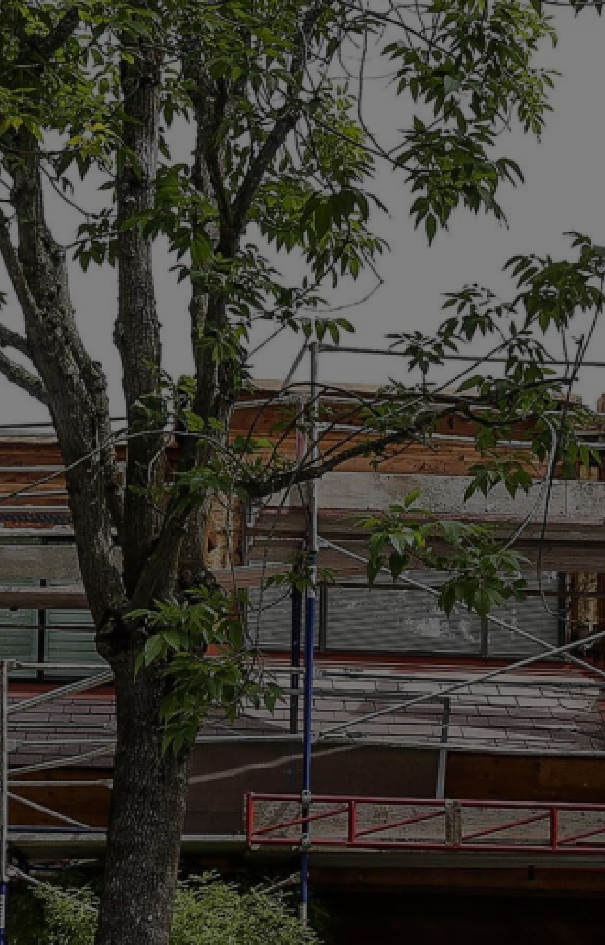 Reconstruction image