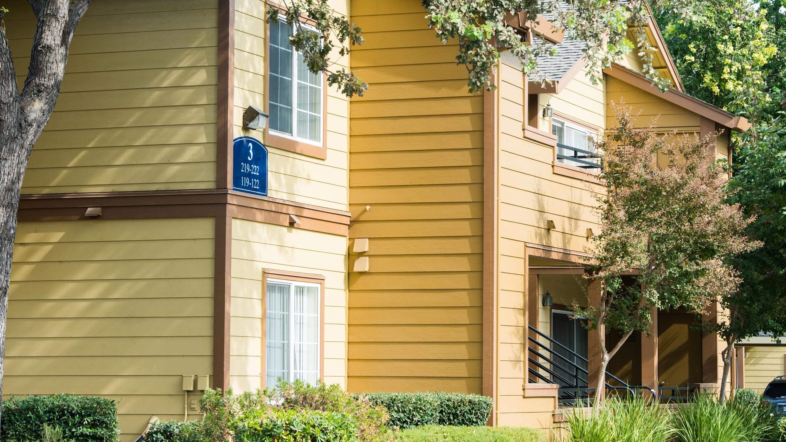 Terracina Gold Finished Renovation